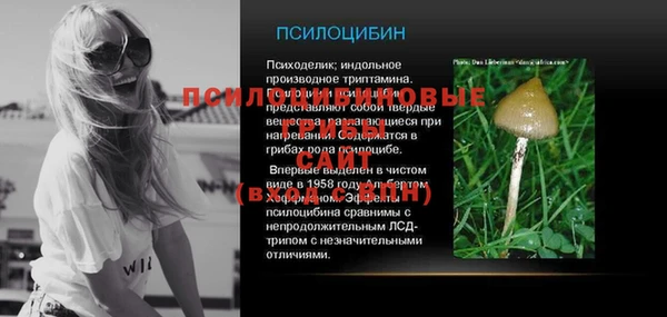 прущая мука Абаза