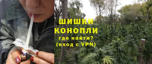 прущие грибы Абдулино