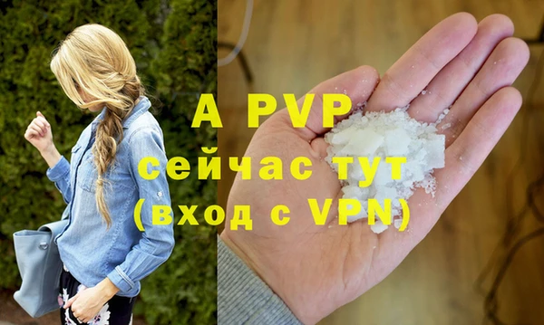 прущие грибы Абдулино